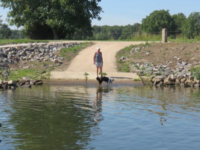 Pina erfrischt sich an der Sliprampe des Hafens Broekhuizen